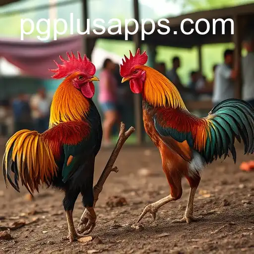 The Rise of Online Sabong: Tradition Meets Modern Technology